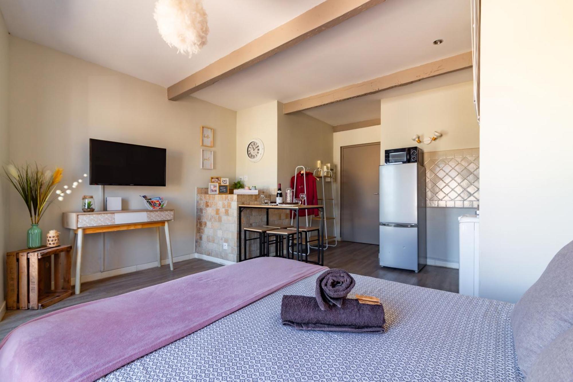 Apartament Au Pied Du Grand Bassin Castelnaudary Zewnętrze zdjęcie